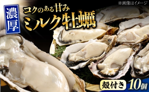 【3月19日（木）発送】江田島ミルク牡蠣 殻付き 10個 加熱用 かき 広島県産 カキ 貝付き牡蠣 海鮮 贈呈用 BBQ 濃厚 新鮮 蒸し牡蠣 焼き牡蠣 グリル焼き 丸杉水産/江田島市 [XCY001] 牡蠣 生食 冷凍 むき身 殻付き 殻付 殻 かき カキ 生牡蠣 広島牡蠣 オイスター カキフライ 魚介類 魚介 貝類 海鮮 広島県産 国産 産地直送 贈答 ギフト 特産品
