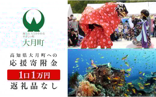 高知県大月町への応援寄付金1万円　【返礼品なし】
