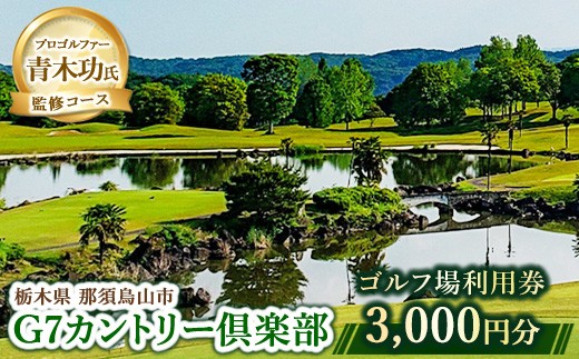 10-46 G7カントリー倶楽部 ゴルフ場利用券 【3,000円分】(3,000円×1枚)