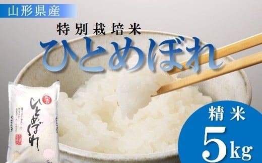 【令和7年産・精米】竹原田ファームの特別栽培米ひとめぼれ5kg※10月中旬頃から順次配送