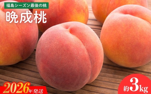 No.2689福島シーズン最後の桃『晩成桃』約3kg【2026年発送　先行予約】 935741 - 福島県福島市