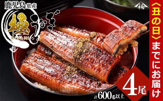 【丑の日までに配送】楠田の極うなぎ 蒲焼き150g以上×4尾(計600g以上) b6-011-us