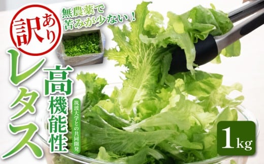 訳あり 高機能性 レタス 無農薬 1kg フリルレタス 産地直送 高機能性野菜 水耕栽培 新鮮 健康 弁当 フードロス ダイエット ベジタブル ヴィーガン ベジタリアン アイクス 埼玉県 羽生市 