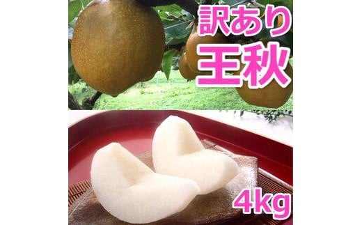【訳あり】王秋梨 4kg（4～13玉前後）※2025年10月下旬～12月上旬頃に順次発送予定【先行予約 梨 なし 果物 フルーツ くだもの 鳥取県 北栄町 おすすめ 人気 送料無料】