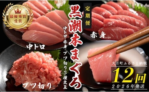 【定期便12回】日本一!黒潮本まぐろ 中トロ・赤身・ブツ切り（3種交互）