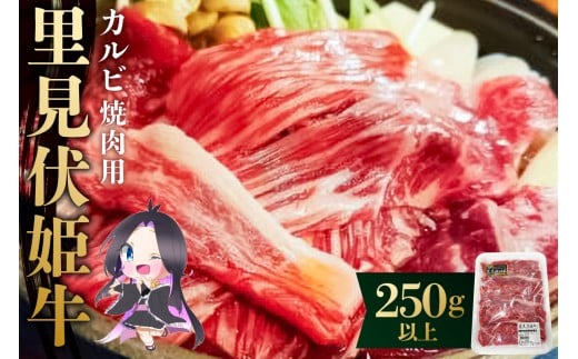 里見伏姫牛　カルビ焼肉用250g以上 mi0119-0001 【肉 食品 焼肉 BBQ バーベキュー 家族 ファミリー お取り寄せ グルメ】