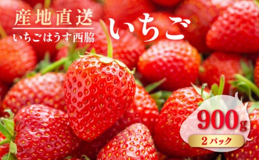 【先行予約】　【数量限定】　いちご　2パック 約900g　【いちごはうす西脇】 [AKHO002]