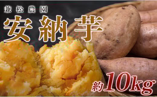 【高知県 大月町産】兼松農園　安納芋　10kg