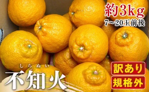 [2月下旬頃〜発送]訳あり 規格外 不知火 (しらぬひ) 約3kg