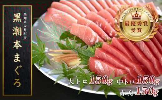 【高知県大月町産 本マグロ】 大トロ・中トロ・赤身450g 2262492 - 高知県大月町