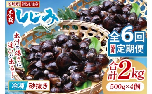 【全6回隔月定期便】茨城県涸沼川産 だしの濃さに違いが出る！手掘しじみ（砂抜き）500g×4個（2kg）【涸沼川 シジミ オルニチン 味噌汁 スープ 茨城県 水戸市】（MS-12）