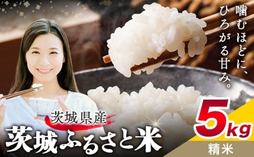 米 茨城 ふるさと米 精米 5kg 5kg×1袋《9月中旬-10月末頃出荷》茨城県 結城市 米 国産 お米 おこめ お弁当 おにぎり【茨城県共通返礼品】