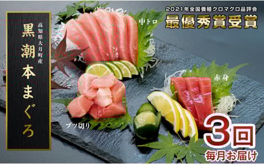 【3回お届け】黒潮本マグロ 3種堪能セット