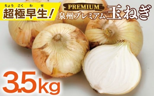 【先行予約】泉州たまねぎ 3.5kg【超極早生 玉ねぎ 農家直送 新鮮 野菜 やさい 期間限定】