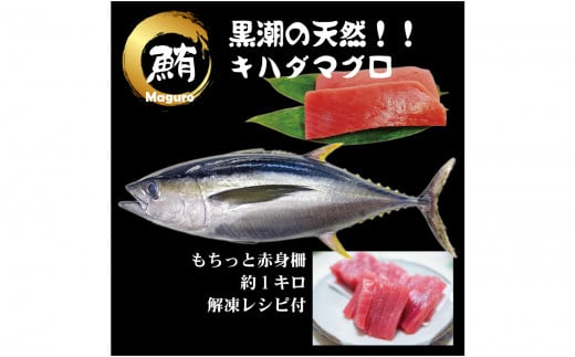 【谷鮮魚食堂】天然キハダマグロ　赤身柵 約1ｋｇ
