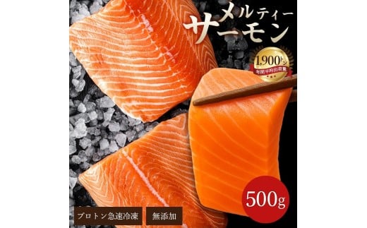 【ふるさと納税】 サーモン メルティーサーモン 500g 毎月お届け(全3回) 遂に登場！ 無添加 アトランティックサーモン [ 小分け 鮭 定期便 さけ サケ 海鮮 生サーモン 生食サーモン 人気 ランキング 三豊市 香川県 アトランティック  タイセイヨウサケ フィレ 返礼品 瀬戸水産  ]