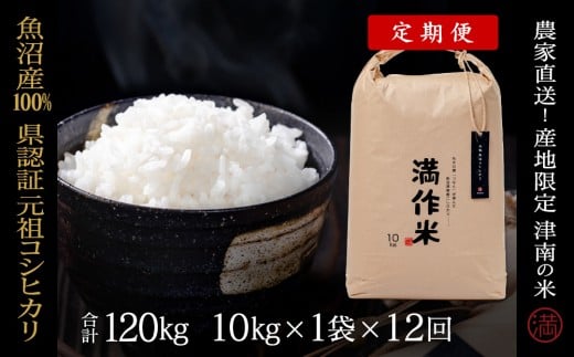 【2025年産新米】【12ヶ月定期便】合計120kg(10kg×12回)【県認証】元祖魚沼産コシヒカリ
