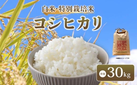 【 新米予約 】 令和7年産 新米 特別栽培米 コシヒカリ 予約 米 30kg 白米 こしひかり 国産 滋賀県 日野町 農家直送 環境こだわり米 お米 おこめ こめ 産地直送 ふるさと納税