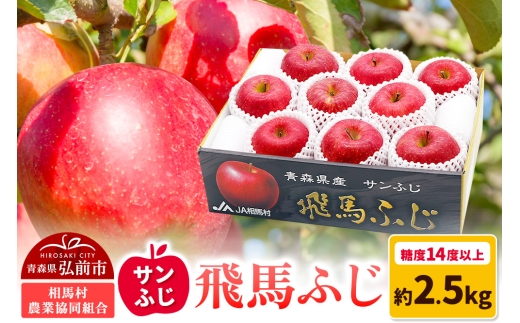 【25年11月～発送】りんご 糖度14度以上 「 飛馬ふじ 」（サンふじ）約 2.5kg【レビューキャンペーン】