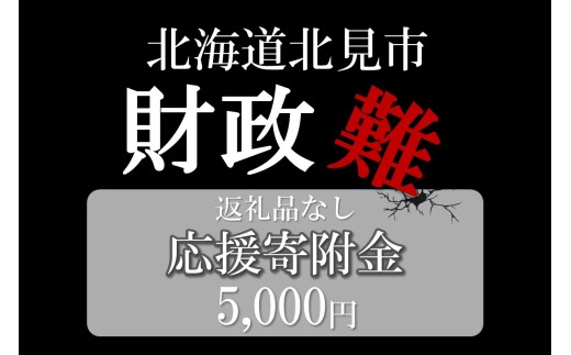 【返礼品なし】北海道北見市 応援寄附(5,000円分)【223-0003】