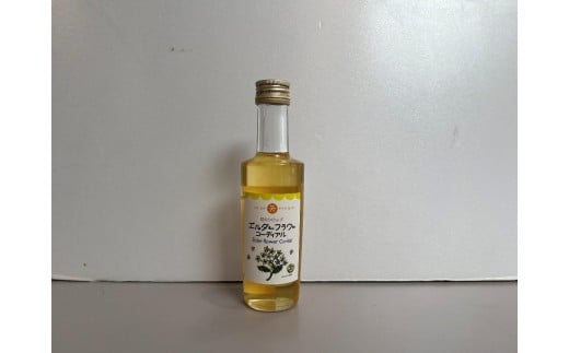 エルダーフラワーコーディアル ｜エルダーフラワー コーディアル シロップ 希少 リラックス効果 塩尻市 長野県 2263891 - 長野県塩尻市