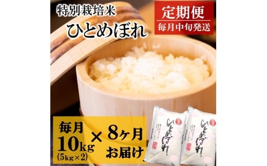 令和7年産【定期便8回】竹原田ファームの特別栽培米ひとめぼれ10kg（5kg×2袋）×8回