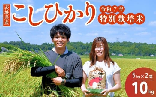 【令和7年度新米】龍ケ崎の特別栽培米 コシヒカリ 10kg(5㎏×2袋) ❙ こしひかり お米 米 こめ 白米 精米 新米 特別栽培米 冷めてもおいしい 美味しい こだわり おにぎり 茨城県 龍ケ崎市産