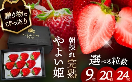 【先行予約】 ＼毎年12月より順次発送／ やよい姫 9粒 いちご フルーツ 果物 愛西市 / くぼ苺農園 【配達不可：北海道・沖縄・離島】 [AECJ012]