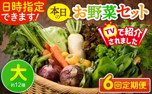 【6回定期便】日時指定OK！本日のお野菜セット 〈大サイズ/約12種〉 4人以上用  新鮮 産地直送 野菜詰め合わせ 有機栽培 野菜 果物 野菜セット 野菜定期便 送料無料 【オーガニックのまち 宮崎県綾町】