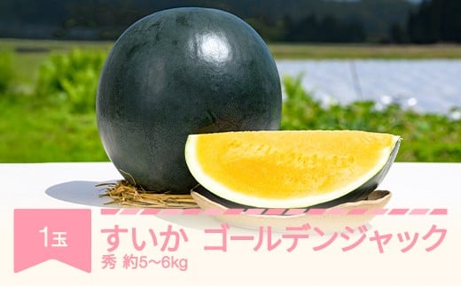【先行予約】 すいか ゴールデンジャック 1玉 5kg~6kg 2026年産 令和8年産 ※沖縄・離島への配送不可 no-sugjx1 2089361 - 山形県村山市