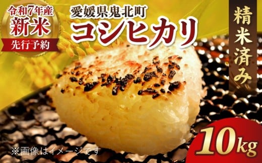 【R7年産新米】愛媛県産 コシヒカリ 10kg ｜ ご飯 白米 お米 令和7年産 5kg 10kg 20kg 精米済み ※2025年10月上旬～12月下旬頃に順次発送予定 ※離島への配送不可