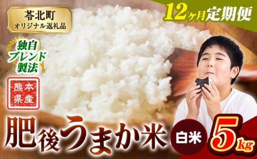 【12か月定期便】米 白米 熊本県産 肥後うまか米 5kg 精米 こめ  コメ お米 おこめ ブレンド米《申込月の翌月から出荷開始》熊本県産  コメ お米 おこめ 2270606 - 熊本県苓北町