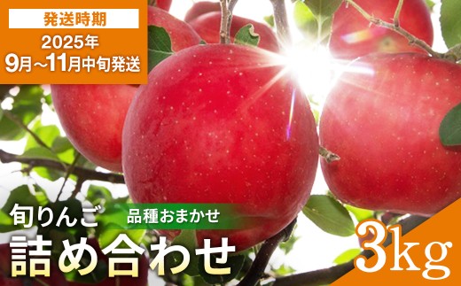 ＼出荷中／ 厳選 旬 りんご 詰め合わせ 3kg 秀品 早生 品種お任せ さんさ こうりん シナノスイート シナノゴールド トキ アキタゴールド 秋田紅あかり の中から 濃厚 で ジューシー な 美味しい 林檎 をお届け【藤山果樹園】[L2801]