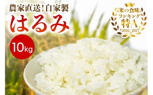 [2025年10月中旬頃から発送] 米 10kg(5kg×2袋) 農家直送！自家製 はるみ｜先行予約 お米 おこめ コメ 白米 神奈川 伊勢原 ブランド米 [0524] 2268427 - 神奈川県伊勢原市