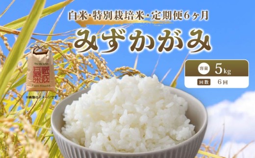 【 新米予約】 令和7年産 新米 特別栽培米 みずかがみ 予約 米 5kg 白米 定期便 6ヶ月 計30kg ミズカガミ 国産 滋賀県 日野町 農家直送 環境こだわり米 お米 おこめ こめ 産地直送 ふるさと納税