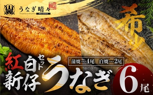 山義養魚の『うなぎ晴々』紅白セット ６尾（蒲焼４尾、白焼２尾） 希少 豊橋うなぎ 蒲焼 厳選 国産 新仔うなぎ 若うなぎ 鰻 ウナギ うなぎ ひつまぶし 土用丑の日 冷凍 丑の日 ご自宅 簡単調理 お取り寄せ 送料無料 お中元 お歳暮 贈答 ギフト タレ・山椒・岩塩つき 44000円