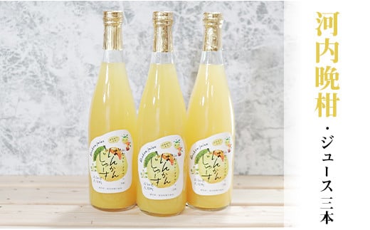 柑橘「河内ばんかん」ジュース3本セット