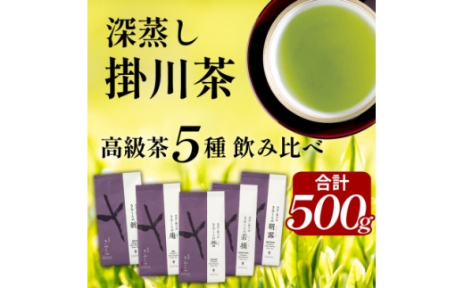 高級茶5種 飲み比べセット 計500g  深蒸し掛川茶 日本茶きみくら＜5899＞【1658772】