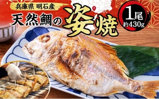 明石産 天然鯛の姿焼②