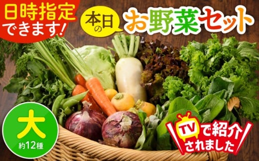 日時指定OK!本日のお野菜セット [大サイズ/約12種] 4人以上用 新鮮 産地直送 野菜詰め合わせ 有機栽培 野菜 果物 野菜セット 野菜定期便 送料無料 [オーガニックのまち 宮崎県綾町]