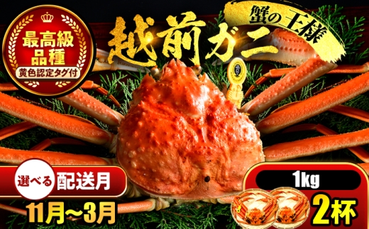 【先行予約】 【3月配送】 越前がに 1kg×2杯 小浜市 / まるほ商店 【配送不可地域：北海道・沖縄・離島】[BFCS031-3]