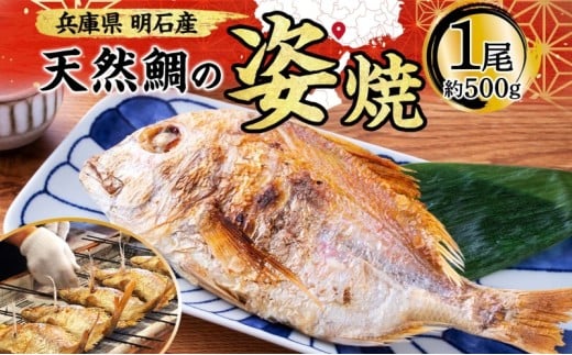 明石産 天然鯛の姿焼③