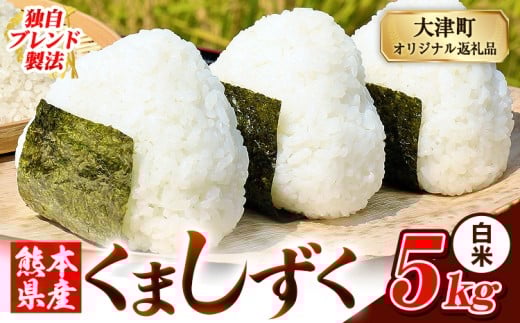白米 熊本県産 ブレンド米 くましずく 5kg 熊本県産 ふるさと納税 白米 精米 米 こめ ふるさとのうぜい コメ お米 おこめ《9月下旬-11月上旬出荷》 2269963 - 熊本県大津町