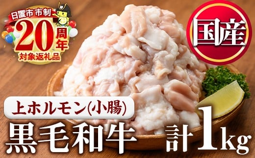 No.1001-02 黒毛和牛上ホルモン(計1kg)【カミチク】