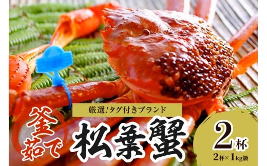 【厳選！！タグ付きブランド】茹で松葉かに 鮮度抜群、釜茹でにてお届け！！ 1kg級×2杯　YK00496