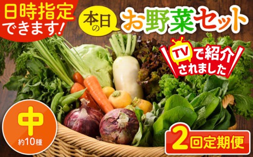 [2回定期便]日時指定OK!本日のお野菜セット [中サイズ/約10種] 2〜3人用 新鮮 産地直送 野菜詰め合わせ 有機栽培 野菜 果物 野菜セット 野菜定期便 送料無料 [オーガニックのまち 宮崎県綾町]