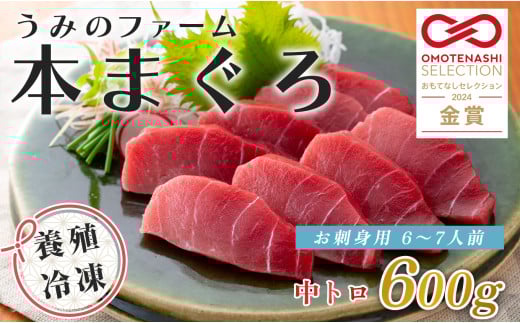 【高知県大月町産】うみのファーム お刺身用本まぐろ 中トロ 600ｇ
