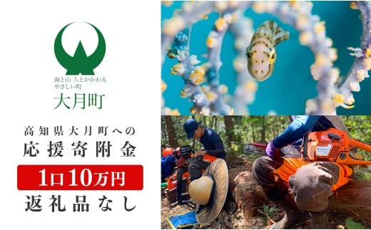 高知県大月町への応援寄付金10万円　【返礼品なし】