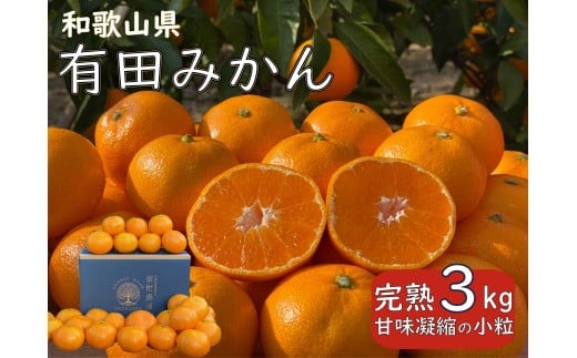 先行予約 和歌山県 完熟 有田みかん 3kg 甘味凝縮 小粒 産直44年 武内園