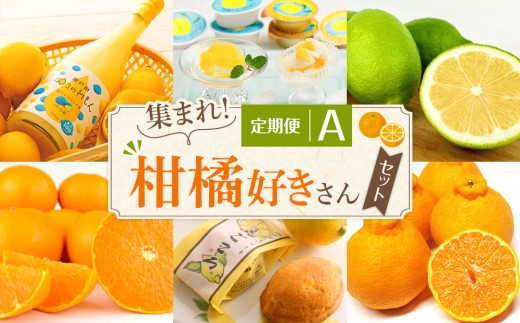 定期便A～集まれ！柑橘好きさんセット～【10月～3月まで毎月発送】 2263007 - 広島県尾道市